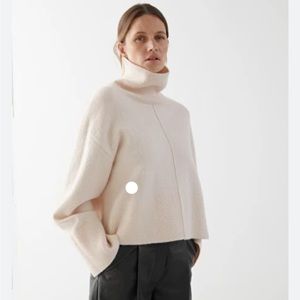& Other Stories Wool Turtleneck